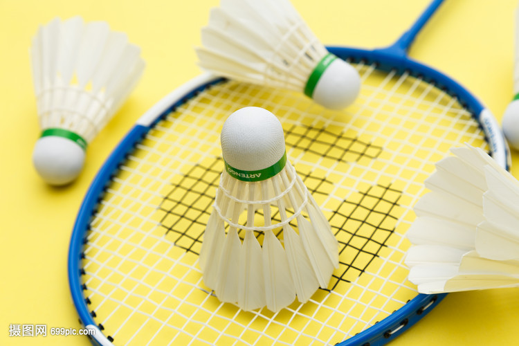 着他们将提 着他们将提