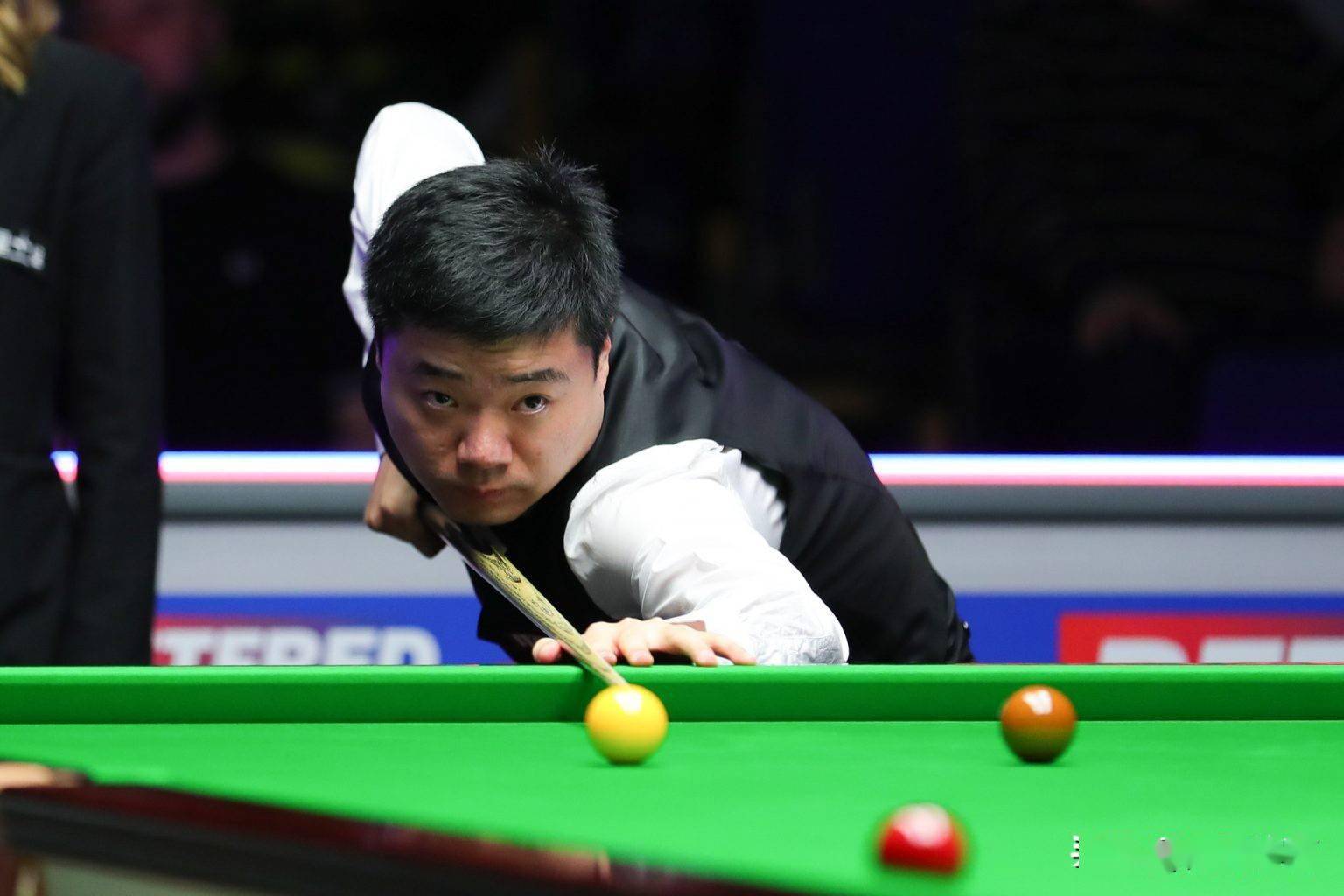 更是皇家特 更是皇家特